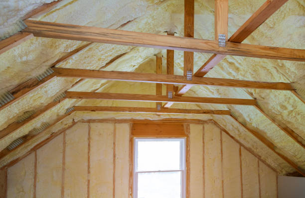 Best Cellulose Insulation in Watauga, TX
