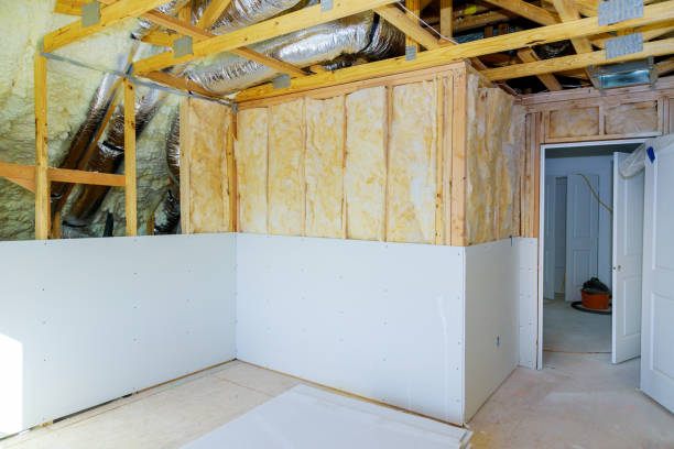 Best Commercial Insulation in Watauga, TX