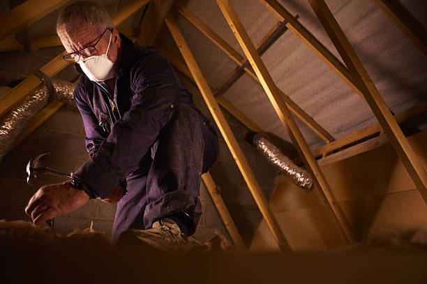 Types of Insulation We Offer in Watauga, TX